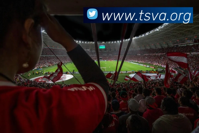 开云官方登陆入口发展历程